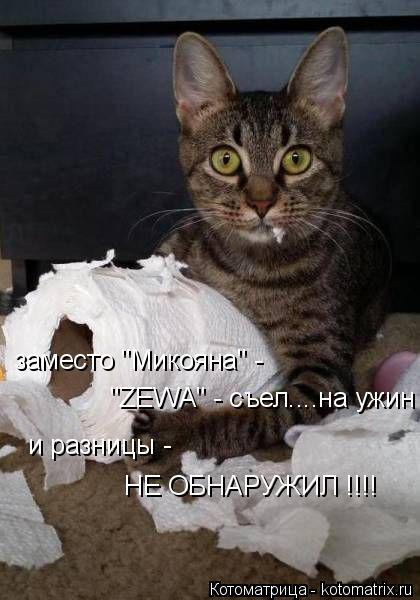 Котоматрица: заместо "Микояна" -   "ZEWA" - съел....на ужин  и разницы - НЕ ОБНАРУЖИЛ !!!!