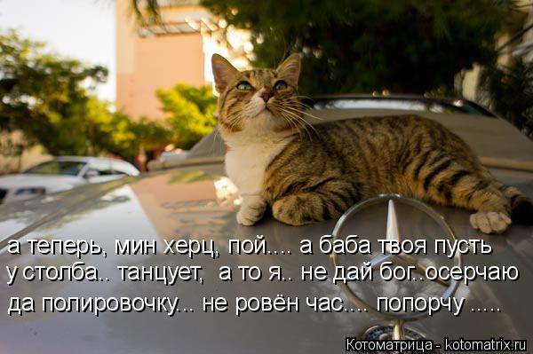 Котоматрица: а теперь, мин херц, пой.... а баба твоя пусть у столба.. танцует,  а то я.. не дай бог..осерчаю да полировочку... не ровён час.... попорчу .....