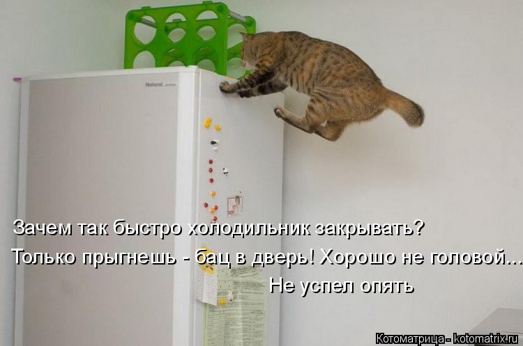 Зачем так быстро холодильник закрывать? Только прыгнешь - бац в дверь! Хорошо не головой... Не успел ... Котоматрица: Зачем так быстро холодильник закрывать? Только прыгнешь - бац в дверь! Хорошо не головой... Не успел опять