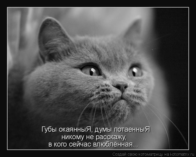 Котоматрица: Губы окаянныЯ, думы потаенныЯ никому не расскажу, в кого сейчас влюблённая...