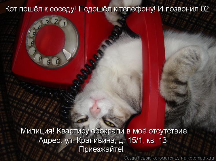 Кот пошёл к соседу! Подошёл к телефону! И позвонил 02 Милиция! Квартиру обокрали в моё отсутствие! Ад... Котоматрица: Кот пошёл к соседу! Подошёл к телефону! И позвонил 02 Милиция! Квартиру обокрали в моё отсутствие! Адрес: ул. Крапивина, д. 15/1, кв. 13 Приезжайте!