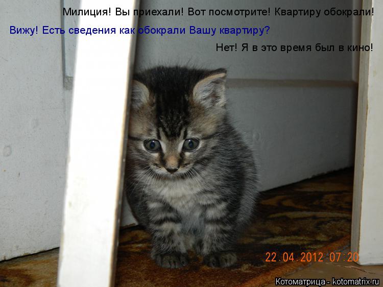 Милиция! Вы приехали! Вот посмотрите! Квартиру обокрали! Вижу! Есть сведения как обокрали Вашу кварти... Котоматрица: Милиция! Вы приехали! Вот посмотрите! Квартиру обокрали! Вижу! Есть сведения как обокрали Вашу квартиру? Нет! Я в это время был в кино!