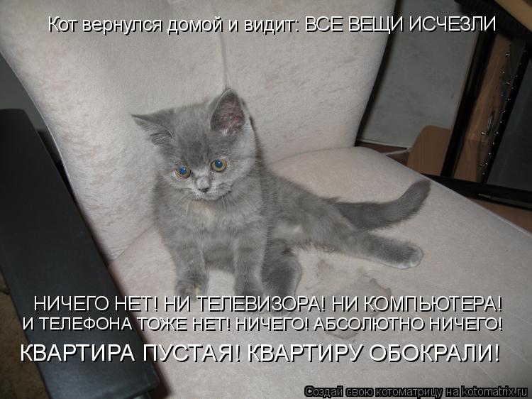 Кот вернулся домой и видит: ВСЕ ВЕЩИ ИСЧЕЗЛИ НИЧЕГО НЕТ! НИ ТЕЛЕВИЗОРА! НИ КОМПЬЮТЕРА! И ТЕЛЕФОНА ТОЖ... Котоматрица: Кот вернулся домой и видит: ВСЕ ВЕЩИ ИСЧЕЗЛИ НИЧЕГО НЕТ! НИ ТЕЛЕВИЗОРА! НИ КОМПЬЮТЕРА! И ТЕЛЕФОНА ТОЖЕ НЕТ! НИЧЕГО! АБСОЛЮТНО НИЧЕГО! КВАРТИР