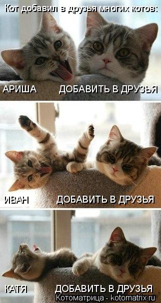Кот добавил в друзья многих котов: АРИША ДОБАВИТЬ В ДРУЗЬЯ ИВАН ДОБАВИТЬ В ДРУЗЬЯ К... Котоматрица: Кот добавил в друзья многих котов: АРИША ДОБАВИТЬ В ДРУЗЬЯ ИВАН ДОБАВИТЬ В ДРУЗЬЯ КАТЯ ДОБАВИТЬ В ДРУЗЬЯ