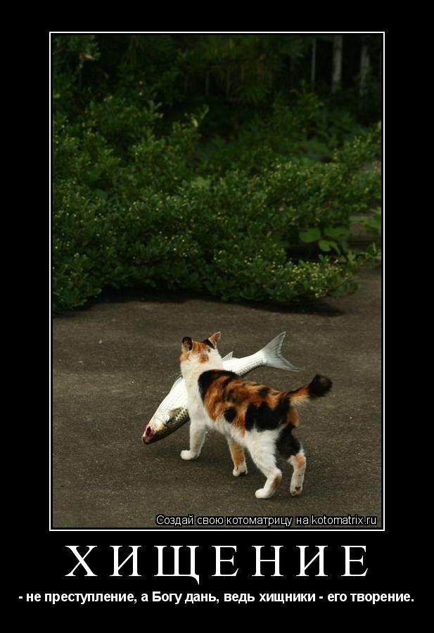 ХИЩЕНИЕ - не преступление, а Богу дань, ведь хищники - его творение.... Котоматрица: ХИЩЕНИЕ - не преступление, а Богу дань, ведь хищники - его творение.