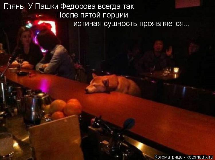 Глянь! У Пашки Федорова всегда так: После пятой порции истиная сущность проявляется...... Котоматрица: Глянь! У Пашки Федорова всегда так: После пятой порции истиная сущность проявляется...