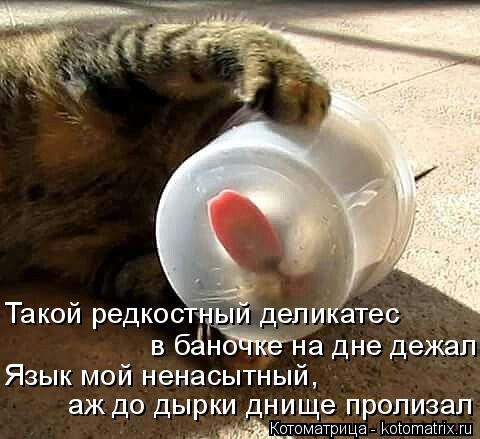 Такой редкостный деликатес в баночке на дне дежал Язык мой ненасытный, аж до дырки днище пролизал... Котоматрица: Такой редкостный деликатес в баночке на дне дежал Язык мой ненасытный, аж до дырки днище пролизал