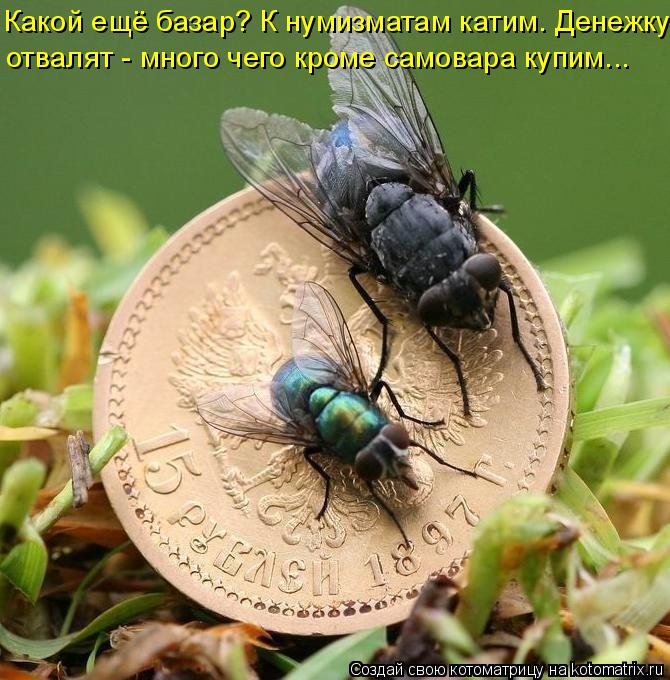 Какой ещё базар? К нумизматам катим. Денежку отвалят - много чего кроме самовара купим...... Котоматрица: Какой ещё базар? К нумизматам катим. Денежку отвалят - много чего кроме самовара купим...