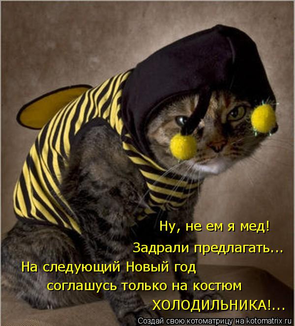 Ну, не ем я мед! Задрали предлагать... На следующий Новый год соглашусь только на костюм ХОЛОДИЛЬНИ... Котоматрица: Ну, не ем я мед! Задрали предлагать... На следующий Новый год соглашусь только на костюм ХОЛОДИЛЬНИКА!...