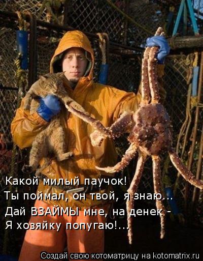 Какой милый паучок! Ты поймал, он твой, я знаю... Дай ВЗАЙМЫ мне, на денек - Я хозяйку попугаю!...... Котоматрица: Какой милый паучок! Ты поймал, он твой, я знаю... Дай ВЗАЙМЫ мне, на денек - Я хозяйку попугаю!...