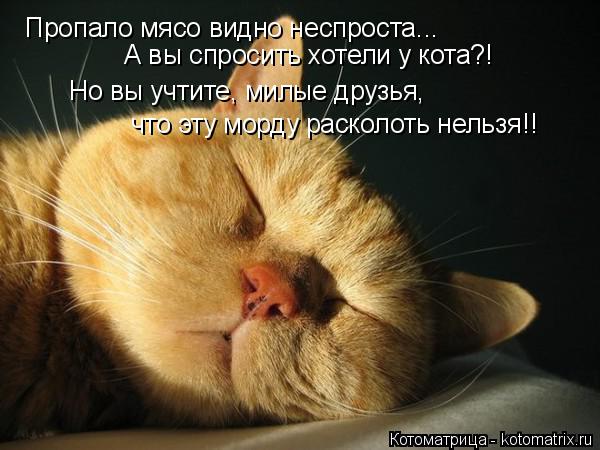 Пропало мясо видно неспроста... А вы спросить хотели у кота?! Но вы учтите, милые друзья, что эту мор... Котоматрица: Пропало мясо видно неспроста... А вы спросить хотели у кота?! Но вы учтите, милые друзья, что эту морду расколоть нельзя!!