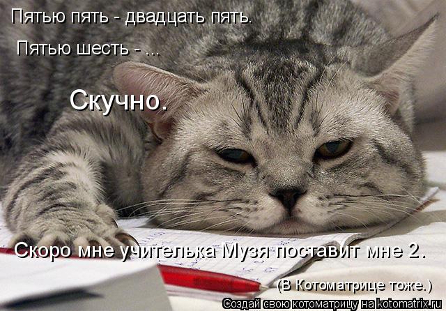Пятью пять - двадцать пять. Пятью шесть - ... Скучно. Скоро мне учителька Музя поставит мне 2. (В Кот... Котоматрица: Пятью пять - двадцать пять. Пятью шесть - ... Скучно. Скоро мне учителька Музя поставит мне 2. (В Котоматрице тоже.)