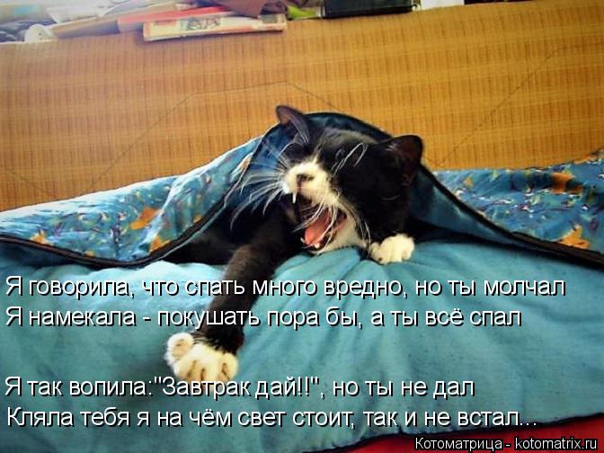 Я говорила, что спать много вредно, но ты молчал Я намекала - покушать пора бы, а ты всё спал Я так в... Котоматрица: Я говорила, что спать много вредно, но ты молчал Я намекала - покушать пора бы, а ты всё спал Я так вопила:"Завтрак дай!!", но ты не дал Кляла теб