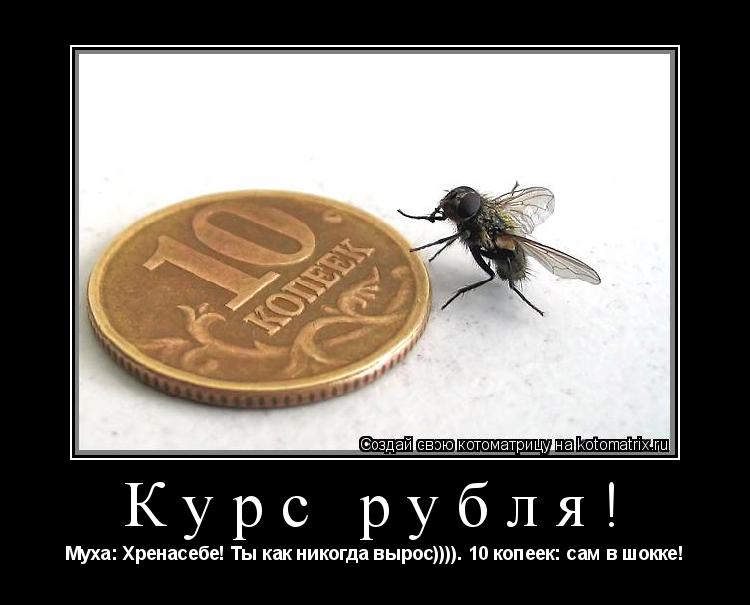 Курс рубля! Муха: Хренасебе! Ты как никогда вырос)))). 10 копеек: сам в шокке!... Котоматрица: Курс рубля! Муха: Хренасебе! Ты как никогда вырос)))). 10 копеек: сам в шокке!