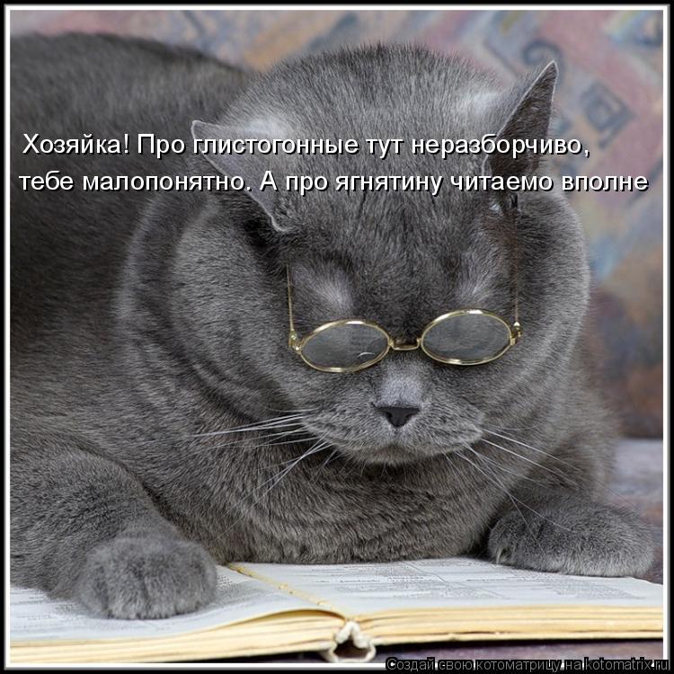 Хозяйка! Про глистогонные тут неразборчиво, тебе малопонятно. А про ягнятину читаемо вполне... Котоматрица: Хозяйка! Про глистогонные тут неразборчиво, тебе малопонятно. А про ягнятину читаемо вполне