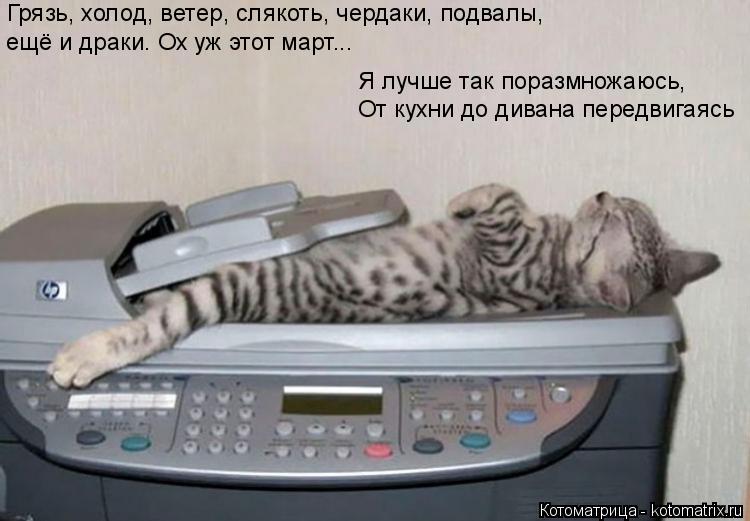 Грязь, холод, ветер, слякоть, чердаки, подвалы, ещё и драки. Ох уж этот март... Я лучше так поразмнож... Котоматрица: Грязь, холод, ветер, слякоть, чердаки, подвалы, ещё и драки. Ох уж этот март... Я лучше так поразмножаюсь, От кухни до дивана передвигаясь