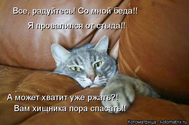 Котоматрица: Все, радуйтесь! Со мной беда!! Я провалился от стыда!! А может хватит уже ржать?! Вам хищника пора спасать!!