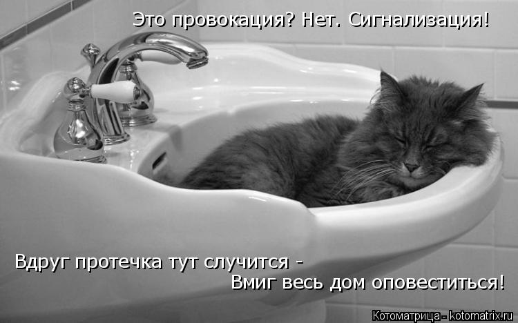 Котоматрица: Это провокация? Нет. Сигнализация! Вдруг протечка тут случится -  Вмиг весь дом оповеститься!