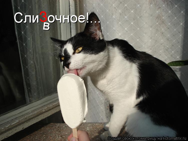 Котоматрица: в З Сли  очное!...