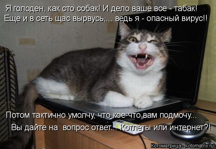Котоматрица: Я голоден, как сто собак! И дело ваше все - табак! Еще и в сеть щас вырвусь,... ведь я - опасный вирус!! Потом тактично умолчу, что кое-что вам подм