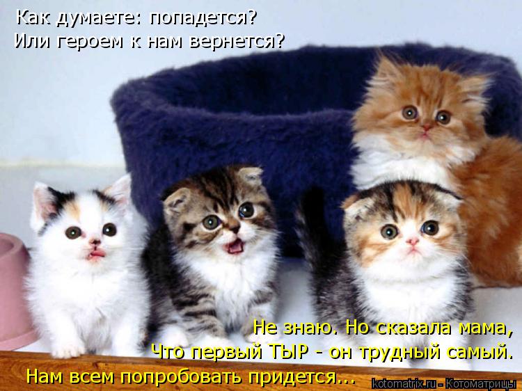 Как думаете: попадется? Или героем к нам вернется? Нам всем попробовать придется... Что первый ТЫР -... Котоматрица: Как думаете: попадется? Или героем к нам вернется? Нам всем попробовать придется... Что первый ТЫР - он трудный самый. Не знаю. Но сказала мама