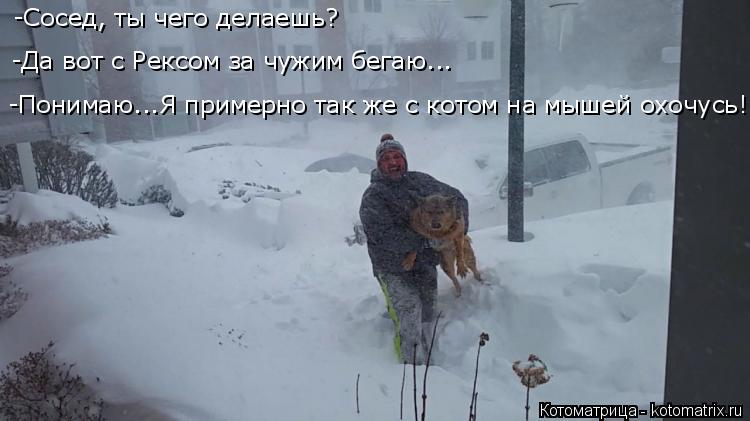 Котоматрица: -Сосед, ты чего делаешь? -Да вот с Рексом за чужим бегаю... -Понимаю...Я примерно так же с котом на мышей охочусь!