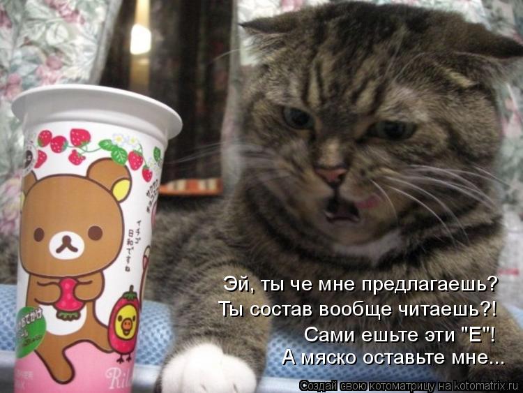 Котоматрица: Эй, ты че мне предлагаешь? Ты состав вообще читаешь?! А мяско оставьте мне... Сами ешьте эти "Е"!