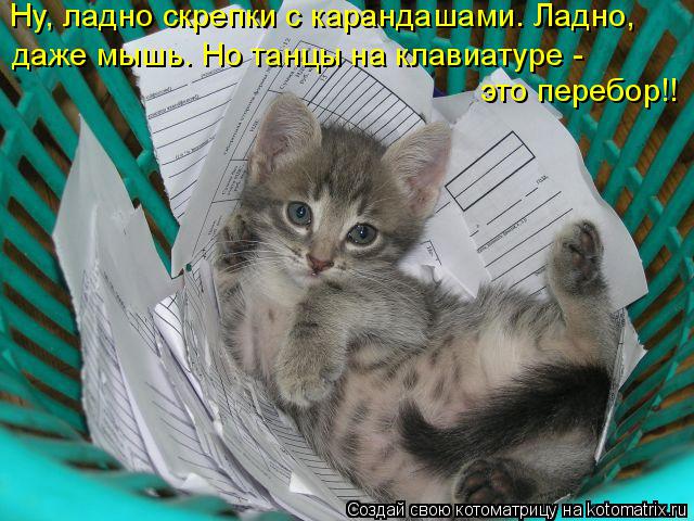 Котоматрица: Ну, ладно скрепки с карандашами. Ладно, даже мышь. Но танцы на клавиатуре - это перебор!!