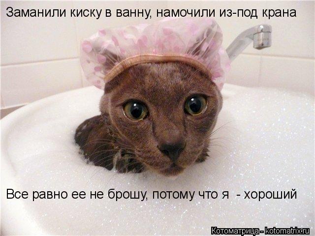 Котоматрица: Заманили киску в ванну, намочили из-под крана Все равно ее не брошу, потому что я  - хороший