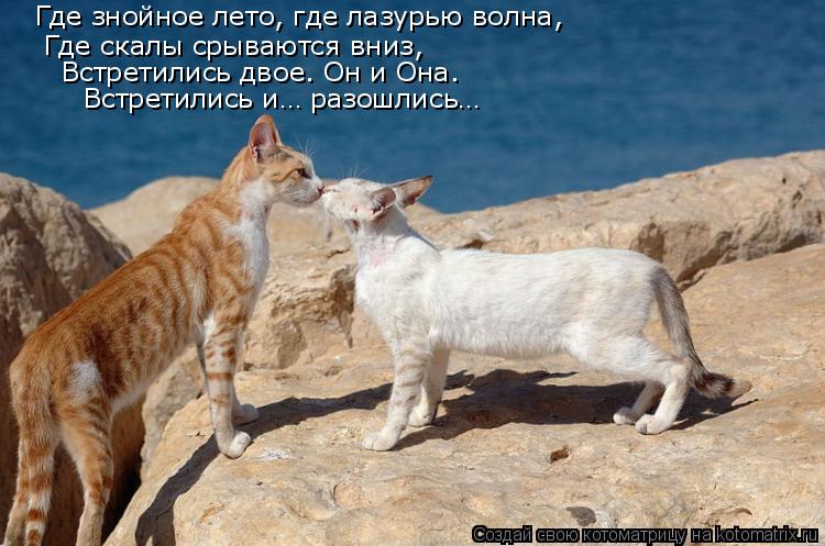 Где знойное лето, где лазурью волна, Где скалы срываются вниз, Встретились двое. Он и Она. Встретилис... Котоматрица: Где знойное лето, где лазурью волна, Где скалы срываются вниз, Встретились двое. Он и Она. Встретились и… разошлись…