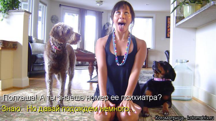Полкаша! А ты знаешь номер ее психиатра? Знаю. Но давай подождем немного...... Котоматрица: Полкаша! А ты знаешь номер ее психиатра? Знаю. Но давай подождем немного...