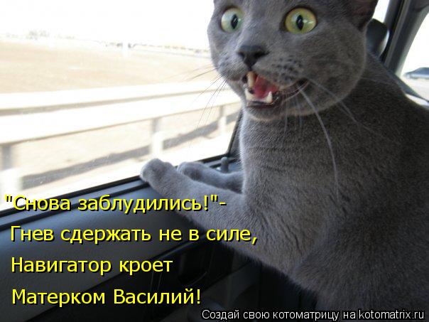 "Снова заблудились!"- Гнев сдержать не в силе, Матерком Василий! Навигатор кроет... Котоматрица: "Снова заблудились!"- Гнев сдержать не в силе, Матерком Василий! Навигатор кроет
