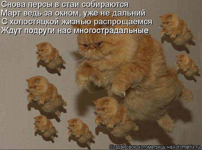 Снова персы в стаи собираются С холостяцкой жизнью распрощаемся Ждут подруги нас многострадальные Жду... Котоматрица: Снова персы в стаи собираются С холостяцкой жизнью распрощаемся Ждут подруги нас многострадальные Ждут подруги нас многострадальные Март