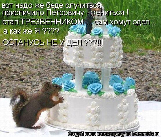 приспичило Петровичу - жениться ! вот надо же беде случиться, стал ТРЕЗВЕННИКОМ.... сам хомут одел..... Котоматрица: приспичило Петровичу - жениться ! вот надо же беде случиться, стал ТРЕЗВЕННИКОМ.... сам хомут одел... а как же Я ???? ОСТАНУСЬ НЕ У ДЕЛ ???!!!