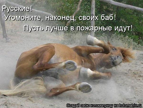 Русские! Угомоните, наконец, своих баб! Пусть лучше в пожарные идут!... Котоматрица: Русские! Угомоните, наконец, своих баб! Пусть лучше в пожарные идут!
