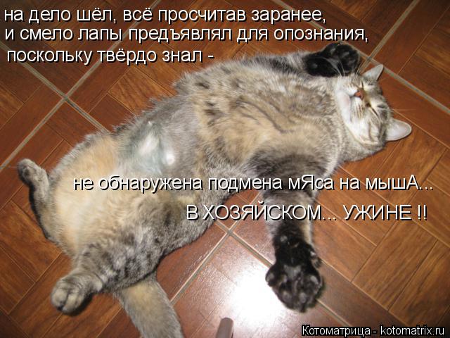 Котоматрица: и смело лапы предъявлял для опознания, поскольку твёрдо знал -  не обнаружена подмена мЯса на мышА... В ХОЗЯЙСКОМ... УЖИНЕ !! на дело шёл, всё пр