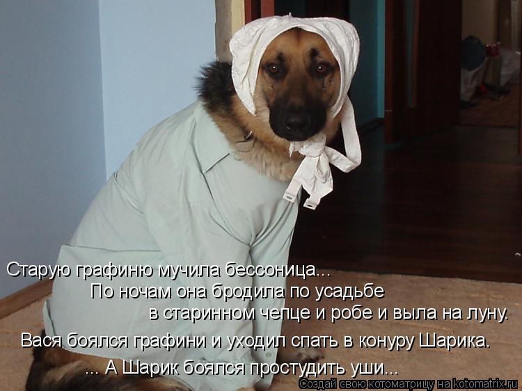 Котоматрица: Старую графиню мучила бессоница... По ночам она бродила по усадьбе в старинном чепце и робе и выла на луну. Вася боялся графини и уходил спат