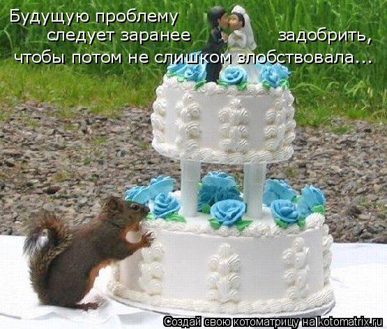 Будущую проблему чтобы потом не слишком злобствовала... следует заранее задобрить,... Котоматрица: Будущую проблему чтобы потом не слишком злобствовала... следует заранее задобрить,