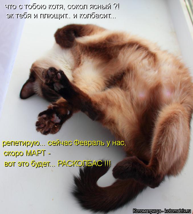 что с тобою котя, сокол ясный ?! эк тебя и плющит.. и колбасит... репетирую... сейчас Февраль у нас, ... Котоматрица: что с тобою котя, сокол ясный ?! эк тебя и плющит.. и колбасит... репетирую... сейчас Февраль у нас, скоро МАРТ - вот это будет... РАСКОЛБАС !!!