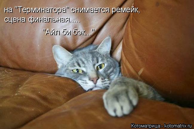 на "Терминатора" снимается ремейк, "Айл би бэк..." сцена финальная........ Котоматрица: на "Терминатора" снимается ремейк, "Айл би бэк..." сцена финальная.....