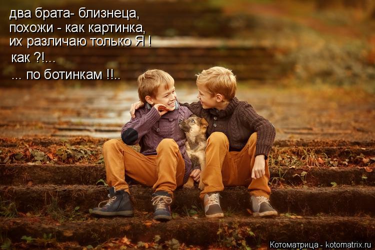 два брата- близнеца, похожи - как картинка, их различаю только Я ! как ?!... ... по ботинкам !!..... Котоматрица: два брата- близнеца, похожи - как картинка, их различаю только Я ! как ?!... ... по ботинкам !!..