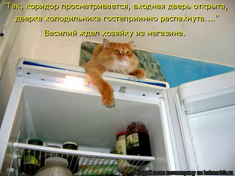 "Так, коридор просматривается, входная дверь открыта, дверка холодильника гостеприимно распахнута...... Котоматрица: "Так, коридор просматривается, входная дверь открыта, дверка холодильника гостеприимно распахнута...." Василий ждал хозяйку из магазина.
