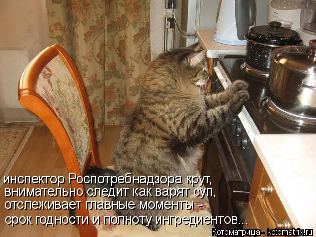 инспектор Роспотребнадзора крут, внимательно следит как варят суп, отслеживает главные моменты - сро... Котоматрица: инспектор Роспотребнадзора крут, внимательно следит как варят суп, отслеживает главные моменты - срок годности и полноту ингредиентов...