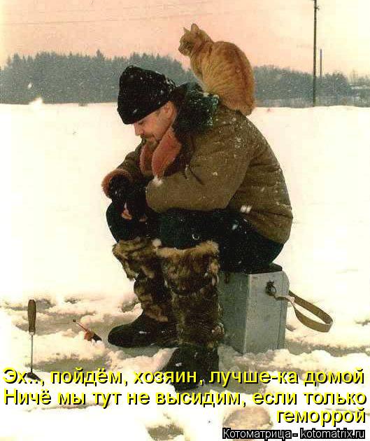 Эх.., пойдём, хозяин, лучше-ка домой Ничё мы тут не высидим, если только геморрой... Котоматрица: Эх.., пойдём, хозяин, лучше-ка домой Ничё мы тут не высидим, если только геморрой
