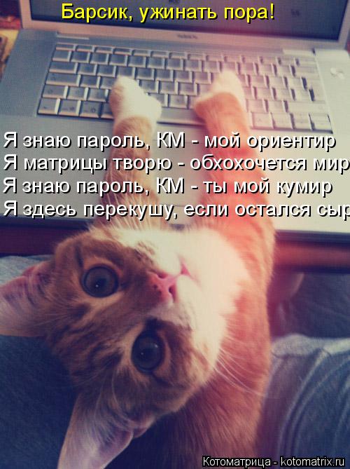 Барсик, ужинать пора! Я знаю пароль, КМ - мой ориентир Я матрицы творю - обхохочется мир Я знаю парол... Котоматрица: Барсик, ужинать пора! Я знаю пароль, КМ - мой ориентир Я матрицы творю - обхохочется мир Я знаю пароль, КМ - ты мой кумир Я здесь перекушу, если