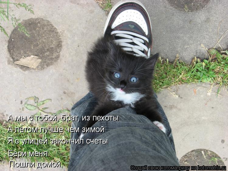 А мы с тобой, брат, из пехоты А летом лучше чем зимой Я с улицей закончил счеты Бери меня. Пошли домо... Котоматрица: А мы с тобой, брат, из пехоты А летом лучше чем зимой Я с улицей закончил счеты Бери меня. Пошли домой.