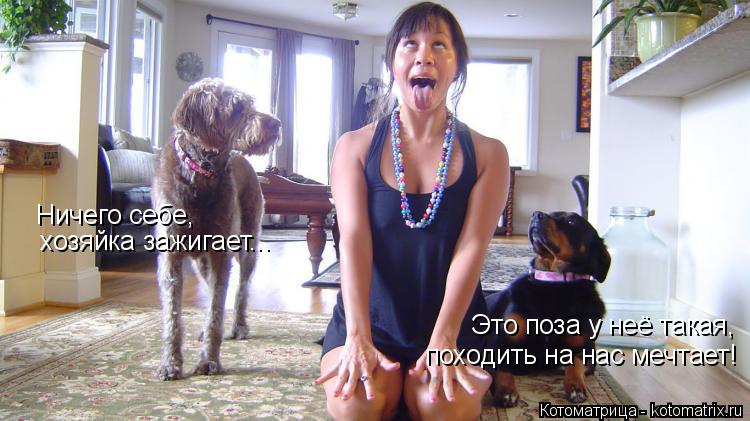 Ничего себе, хозяйка зажигает... Это поза у неё такая, походить на нас мечтает!... Котоматрица: Ничего себе, хозяйка зажигает... Это поза у неё такая, походить на нас мечтает!