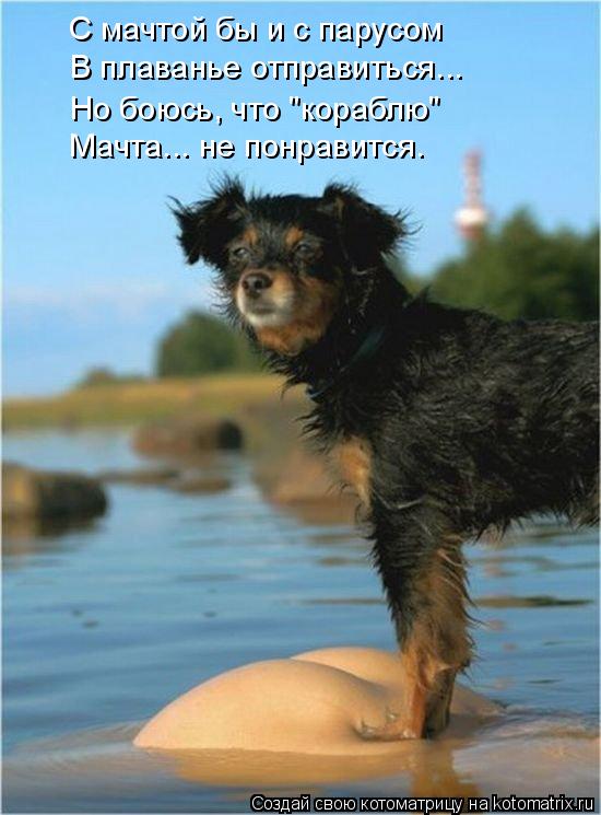 С мачтой бы и с парусом В плаванье отправиться... Но боюсь, что "кораблю" Мачта... не понравится.... Котоматрица: С мачтой бы и с парусом В плаванье отправиться... Но боюсь, что "кораблю" Мачта... не понравится.