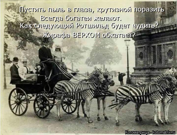 Пустить пыль в глаза, крутизной поразить Всегда богатеи желают. Как следующий Ротшильд будет чудить?... Котоматрица: Пустить пыль в глаза, крутизной поразить Всегда богатеи желают. Как следующий Ротшильд будет чудить? Жирафа ВЕРХОМ обкатает?