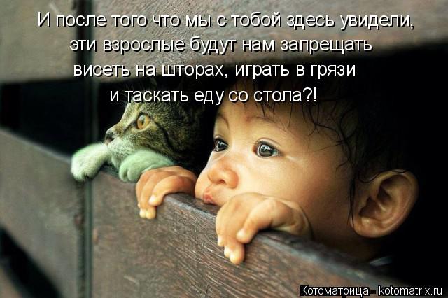 И после того что мы с тобой здесь увидели, эти взрослые будут нам запрещать висеть на шторах, играть ... Котоматрица: И после того что мы с тобой здесь увидели, эти взрослые будут нам запрещать висеть на шторах, играть в грязи и таскать еду со стола?!